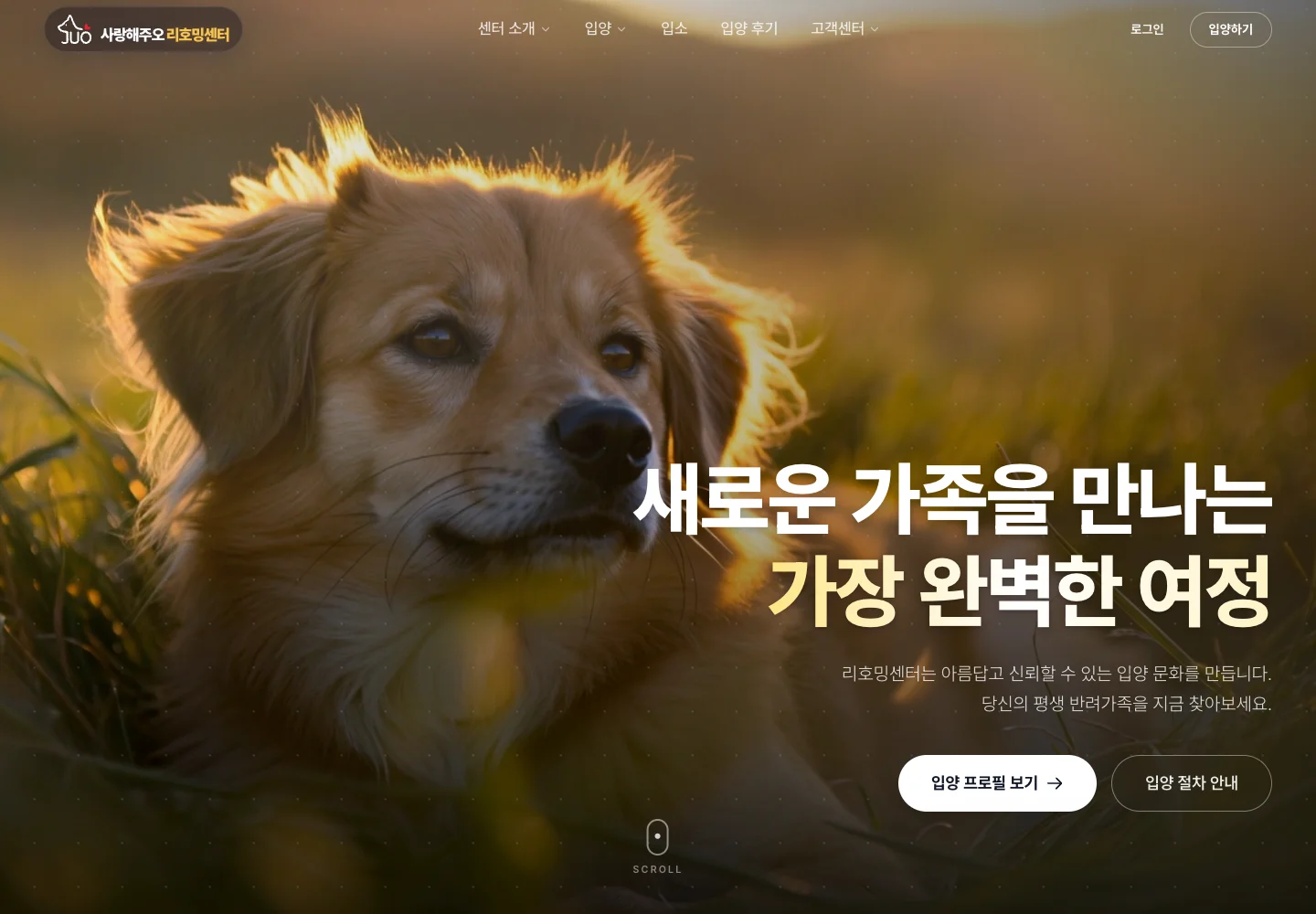Rehoming Center: an immersive dog photograph, a large Korean headline, and clear links to adoption profiles and the adoption process.